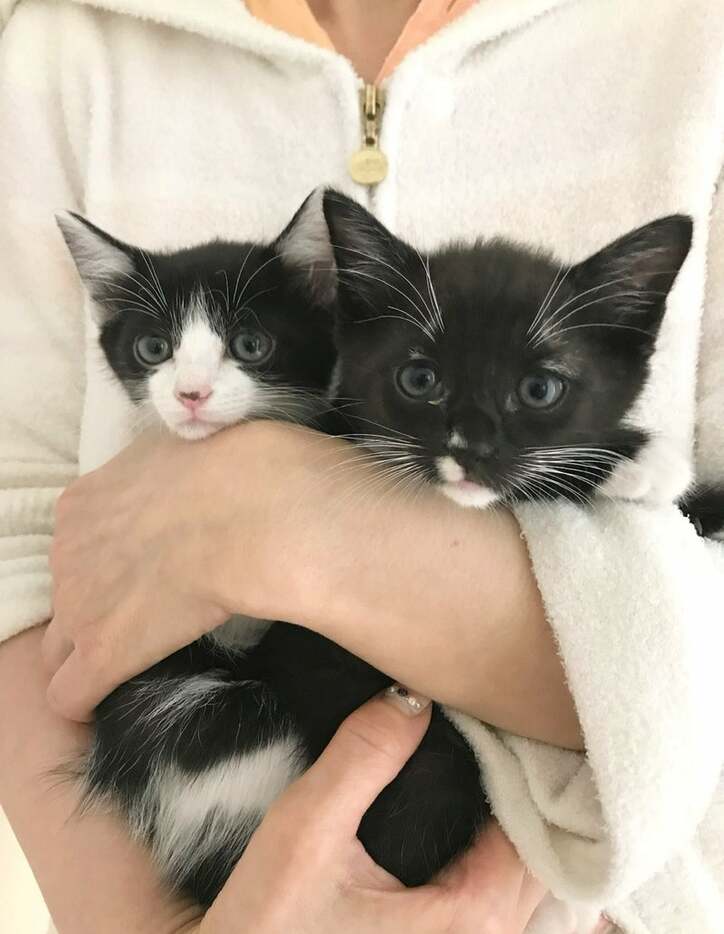 【写真・画像】SNS下書き_241218更新　※※露出系は配信先「nor.」を外すこと！！※※　2枚目