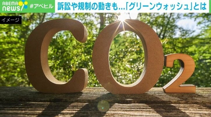 「正直者がバカを見る状態」デルタ航空の“グリーンウォッシュ訴訟” その環境配慮は本物か？証明する手段とは