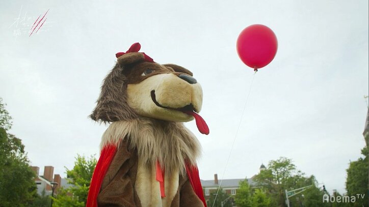 「告白したいからアメリカに来て」かずまから呼び出されミチが渡米！恋の結末はAbemaビデオで配信 『オオカミちゃん』最終回