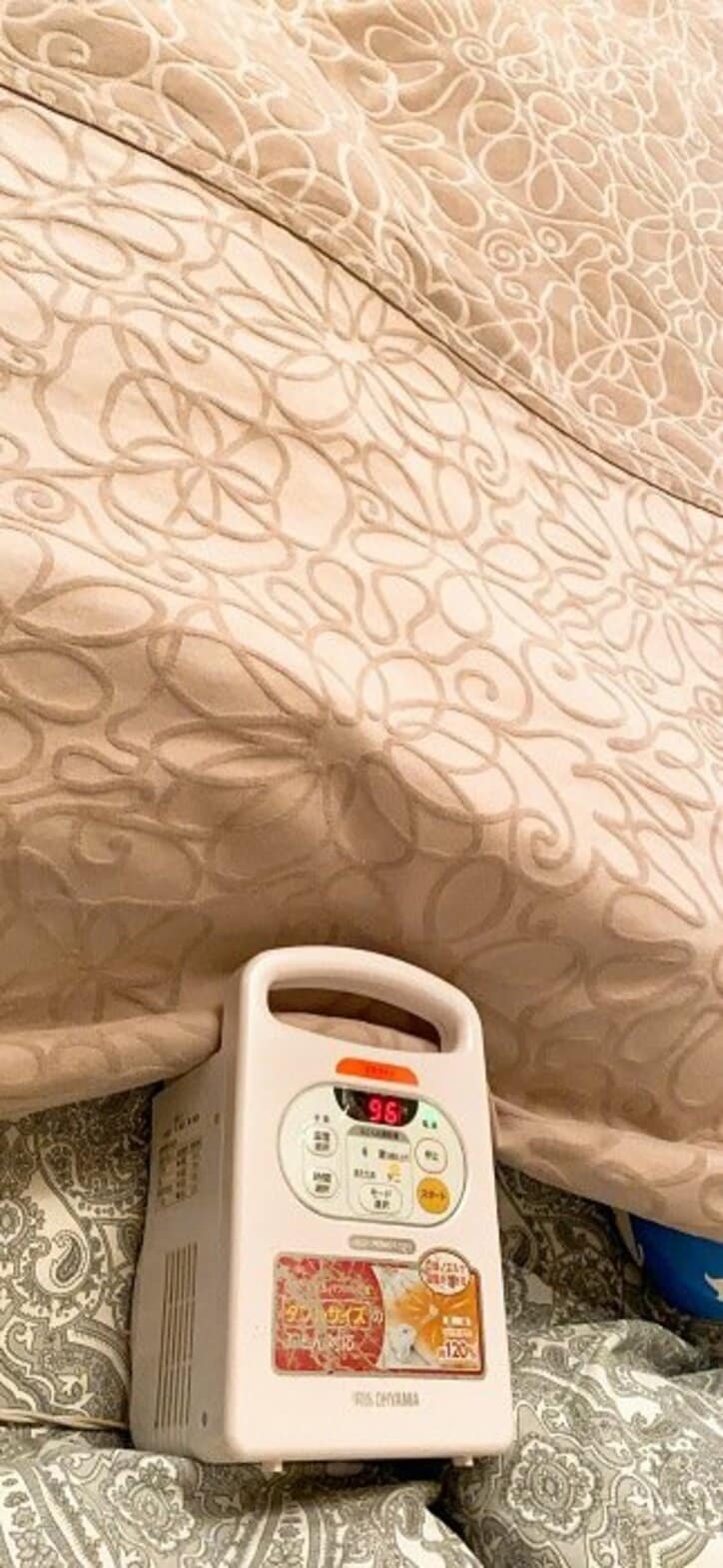 堀ちえみ、自宅を訪れたママ友から言われたこと「どうしてこんなにいい香りが」