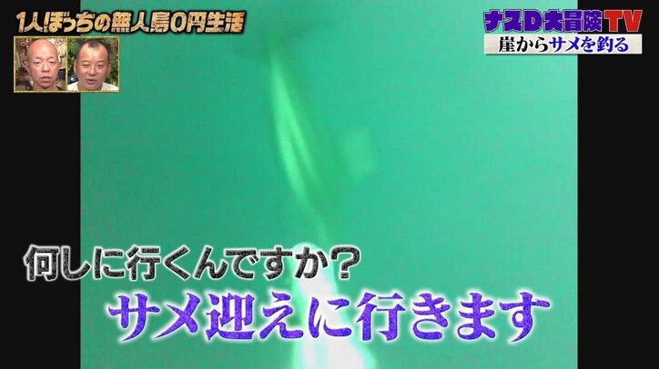 ナスD対サメの直接対決！ モリで一突き、海中からの捕獲を宣言「サメを迎えに行きます」
