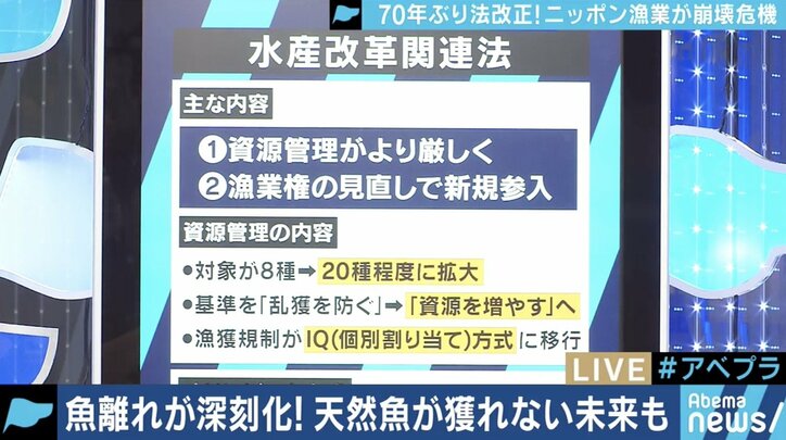 漁獲高制限で値段は？養殖ものの価値が上がる？70年ぶりの法改正と日本の漁業の未来は