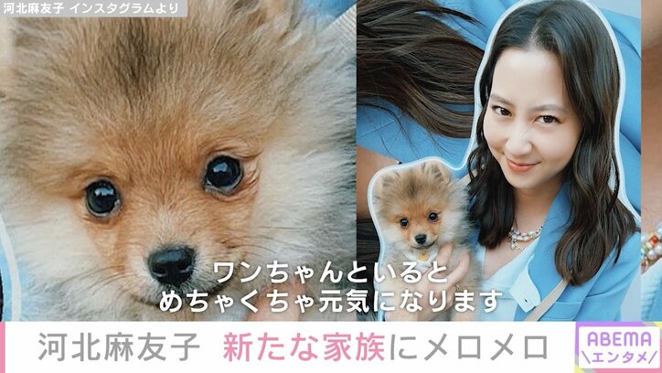 河北麻友子、新しい家族にメロメロ「すごく癒されています」