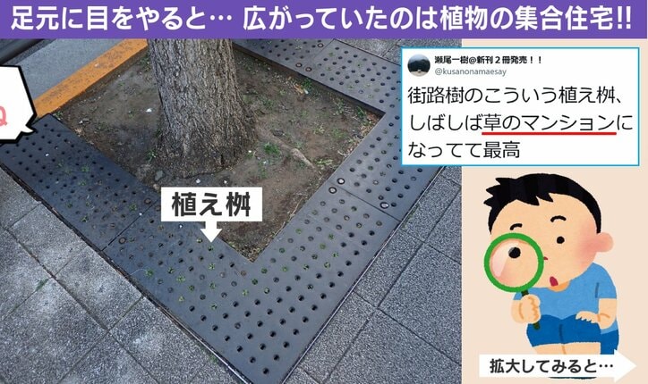 草のマンション