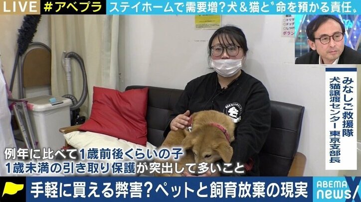 「飼ってみたら匂いと鳴き声が…」コロナ禍に買われた犬猫の放棄が急増? ペットショップでの販売はやめるべきか