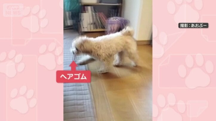 ヘアゴムを運ぶ