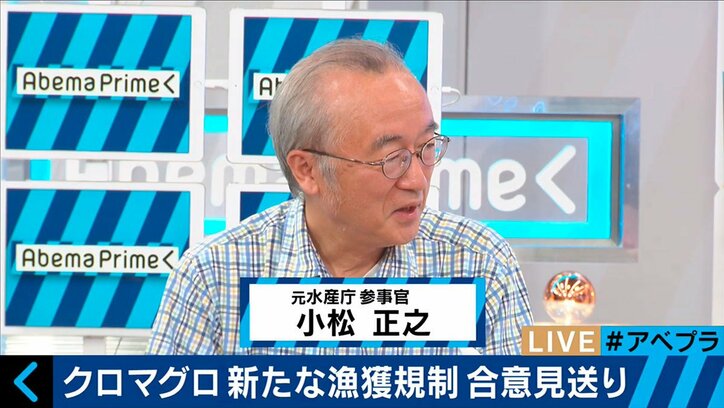 日本のマグロ漁業は「異常」　危険な状況が続く理由とは？