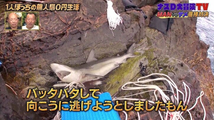 「4億年も生きている…」ナスDが語る“海の殺し屋”サメの豆知識