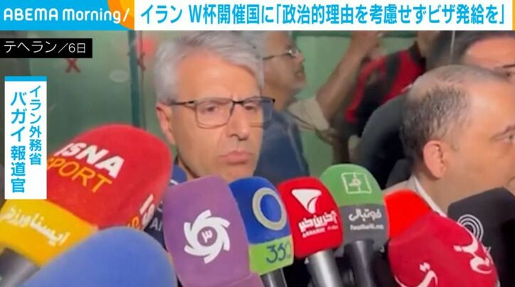 バガイ報道官