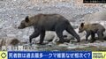 ヒグマに襲われ140針…当事者に聞く恐怖「後ろから倒されて、最初は何かわからなかった」相次ぐクマ被害の対策は？