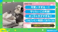 【映像】まるでアニメ! プレゼントを必死に開封する犬