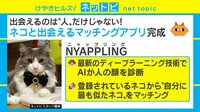 【動画】ネコと出会えるマッチングアプリが完成
