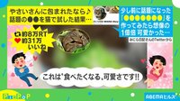 【映像】食べちゃいたいくらい可愛い…“白菜”に包まれた猫