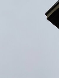 堀ちえみ『さて！朝早く起きて仕事までに家のことを』