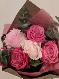 小林麻耶『”11月22日”　いい夫婦の日』