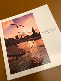 矢田亜希子『写真集』