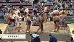 力士の「ペアルックかわいい」愛溢れるおそろいの化粧まわしで登場 “なかよし”な姿に歓喜の声