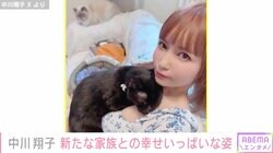 中川翔子「これからいっぱい幸せになろうね！」新たな家族を抱っこする姿に反響