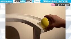「ピタゴラスイッチ次世代版！？」転がしたボールが“様々な仕掛け”を巡る、斬新すぎるアート作品に「ずっと目で追っちゃった」「ワクワクする！」と大反響