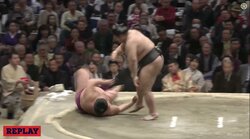 大関・高安、自己タイの12勝　強烈にぶちかまし続け八日目から8連勝締め