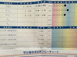 上原さくら、血液検査を受けた結果を報告「ご心配頂いてた、甲状腺の病気について」