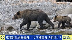 ヒグマに襲われ140針…当事者に聞く恐怖「後ろから倒されて、最初は何かわからなかった」相次ぐクマ被害の対策は？