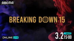 【全試合結果】Breaking Down15（ブレイキングダウン15）対戦カード・大会情報・結果速報