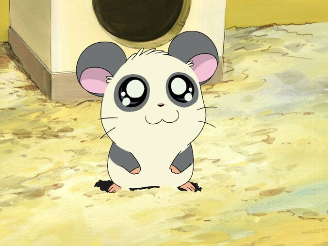 アニメ『とっとこハム太郎』第2期全103話、パンダくんの誕生日4月8日に無料一挙放送 2枚目