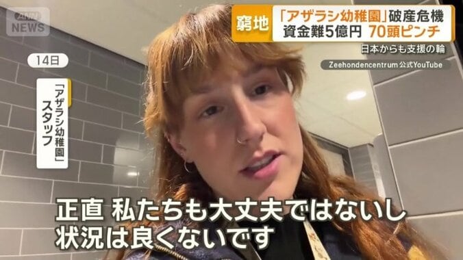 「アザラシ幼稚園」スタッフ