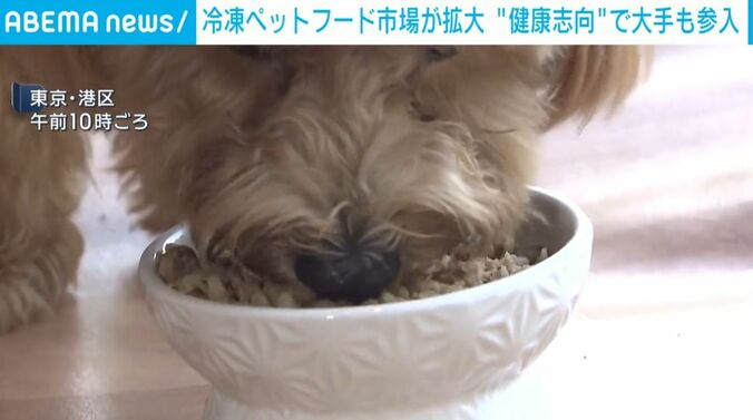 犬