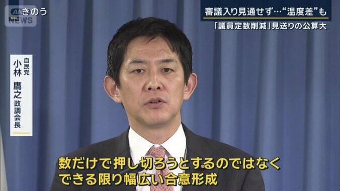 自民党　小林鷹之政調会長