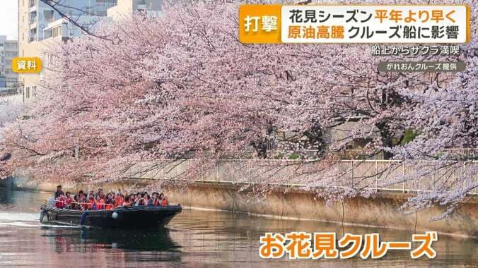平年より早い花見　船上ツアーはガソリン高で利益圧迫　キッチンカーは「三重苦」 1枚目