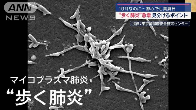 10月なのに…都心でも真夏日 「歩く肺炎」急増　見分けるポイントは 1枚目