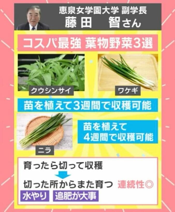 コスパ最強野菜