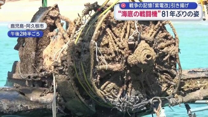 引き揚げられた「紫電改」