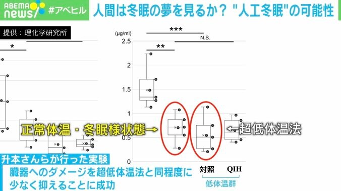 冬眠を医療に応用？手術時の臓器負担軽減をマウスで確認も  “人工冬眠”の可能性に研究者「元気で長生きできる状況が作り出せる」 3枚目