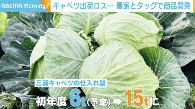 余剰キャベツの「もったいない」をなくすために…農家と企業がタッグ！ 新商品開発の裏側 4枚目