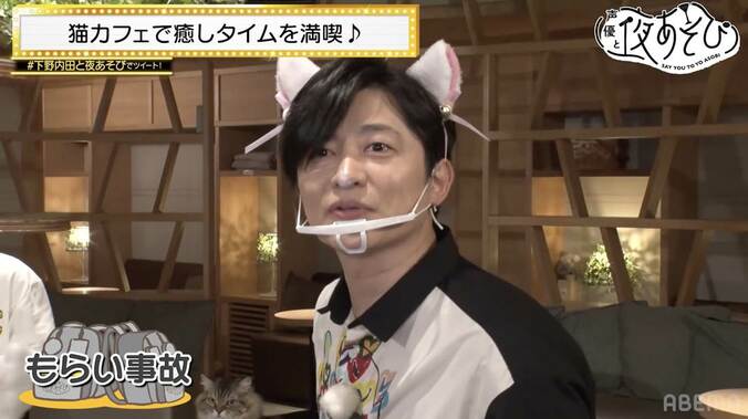 猫カフェでデレデレの下野紘＆内田真礼が猫とお友達になれるかバトル勃発!?『声優と夜あそび』 4枚目