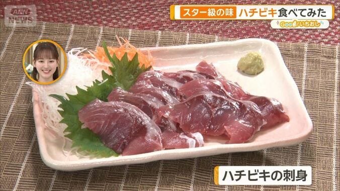 旬のおいしいマイナー魚を探せ！　ぼうずコンニャク流・市場で出会う絶品魚ガイド 1枚目