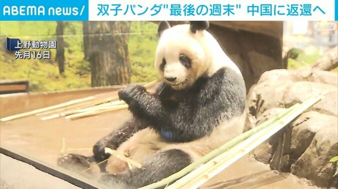 上野動物園