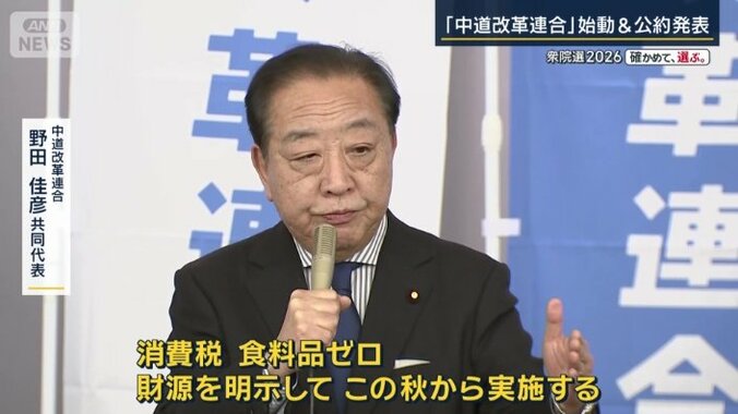 野田佳彦共同代表