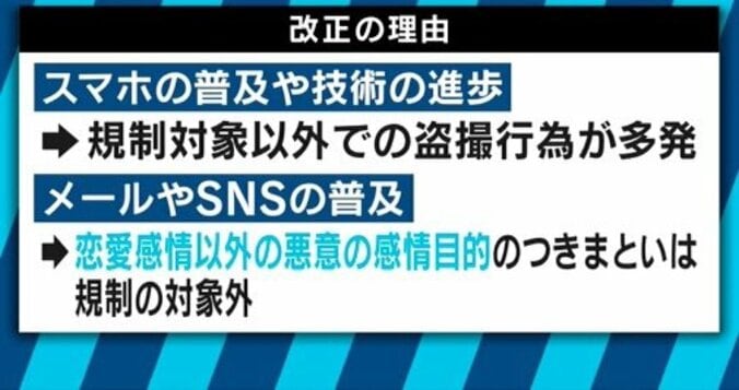 都条例改正案は東京都版の「共謀罪」なのか？宇都宮弁護士と自民党都議が激論！ 9枚目