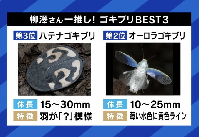 一推しのゴキブリ ベスト3