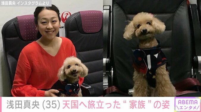 浅田真央（35）、「愛は永遠に…」愛犬・エアロの三回忌を報告 4枚目