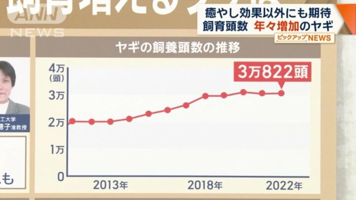 ヤギの飼育頭数の推移