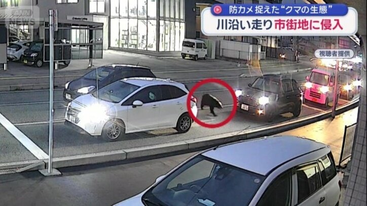 引き返して再び国道を横断