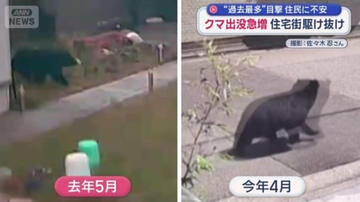 今月と去年5月、同一の個体？