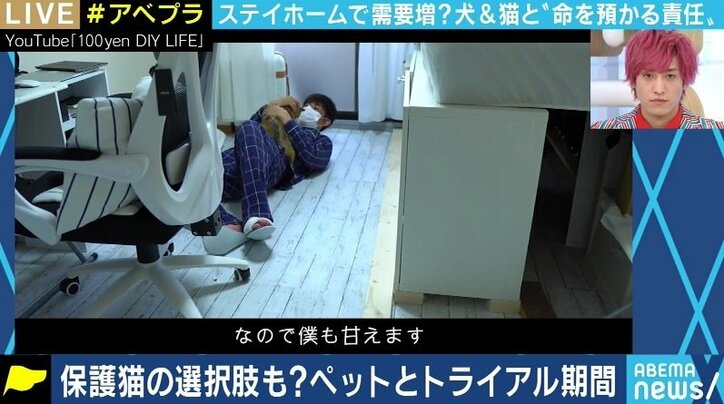 「飼ってみたら匂いと鳴き声が…」コロナ禍に買われた犬猫の放棄が急増? ペットショップでの販売はやめるべきか