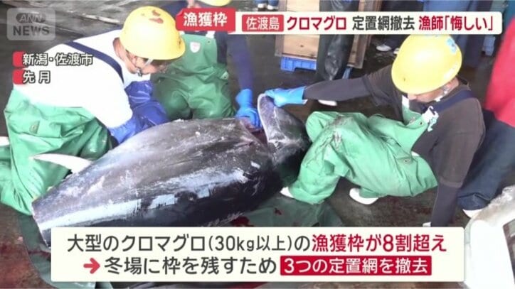 シーズン前にもかかわらず…