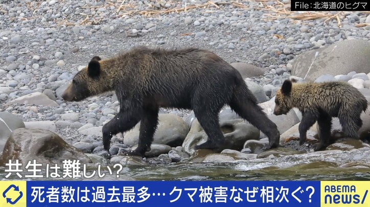 相次ぐクマ被害の対策は？